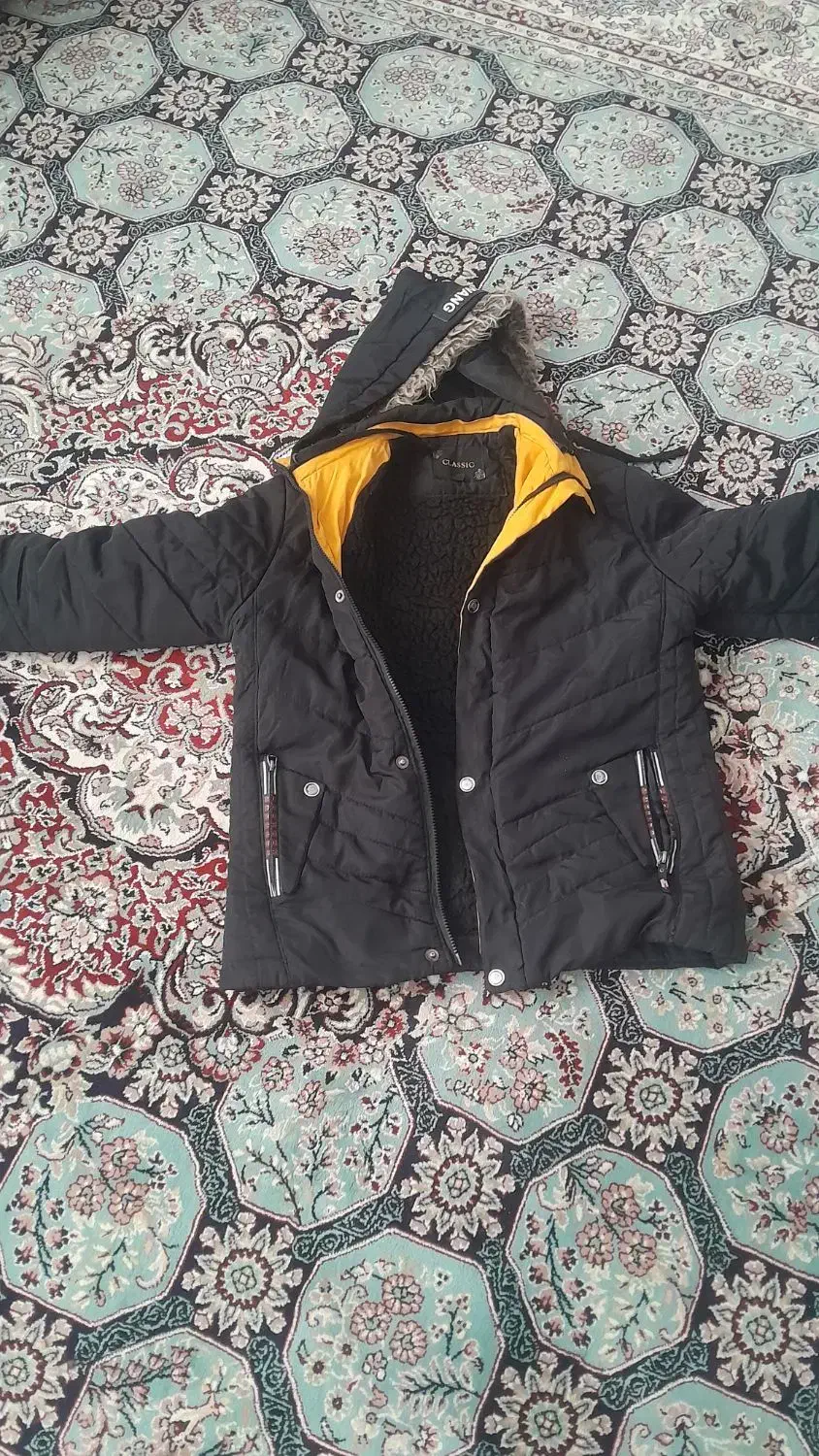 کاپشن|لباس|تربت‌حیدریه, باغ سلطانی|دیوار