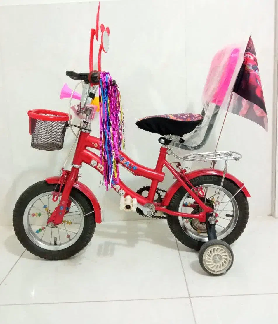 دوچرخه ی ۱۲ مناسب برای سن ۲ تا ۵ سال|دوچرخه، اسکیت، اسکوتر|بروجن, |دیوار