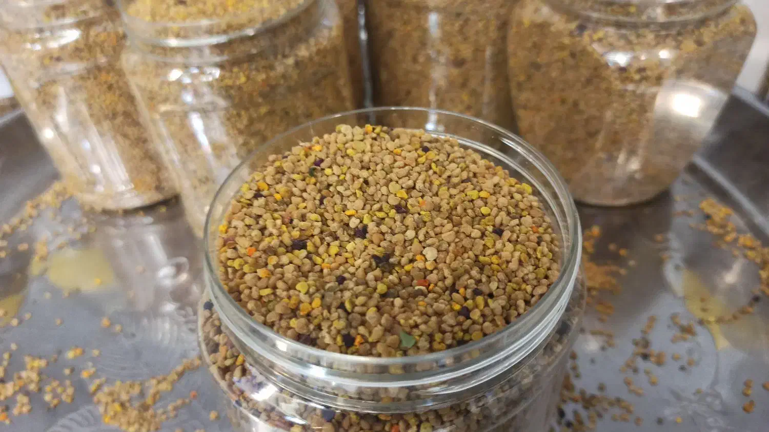 فروش گرده گل بهاری|آرایشی، بهداشتی، درمانی|بانه, |دیوار