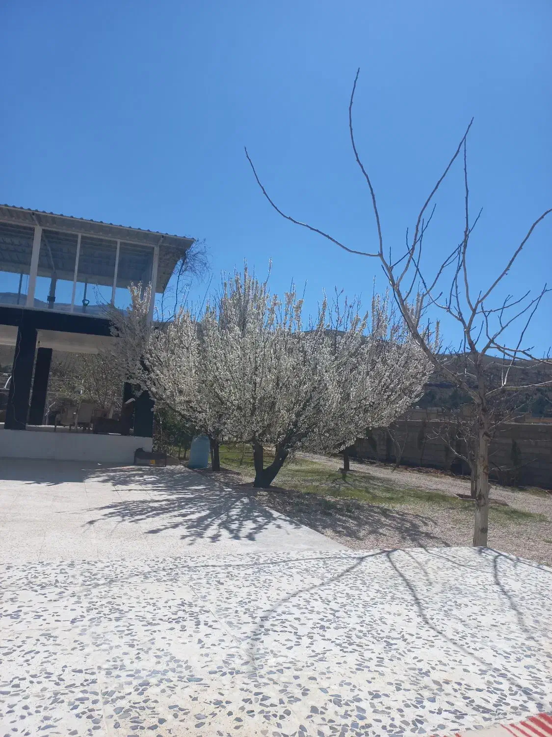 باغ باجگاه|فروش زمین و ملک کلنگی|شیراز, حومه شیراز|دیوار