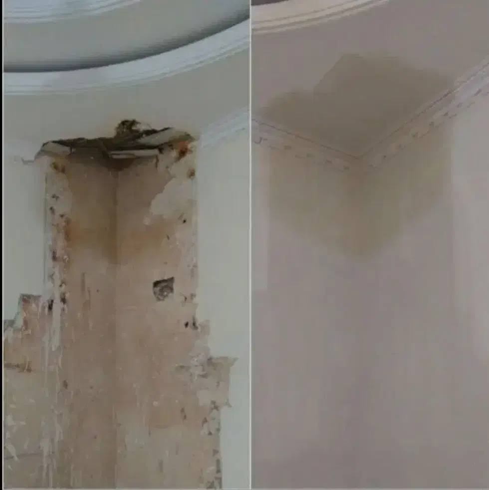 گچکاری|خدمات پیشه و مهارت|سبزوار, شرق کال شمالی|دیوار