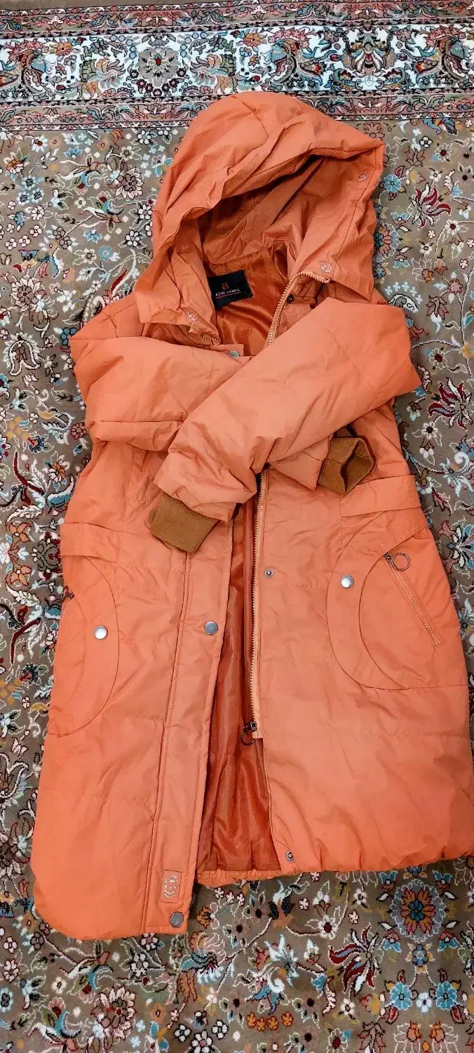 کاپشن|لباس|ماهدشت, |دیوار