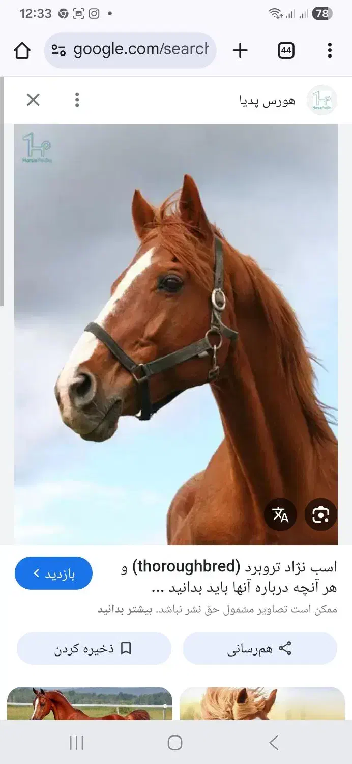 استخدام کارگر پاره‌وقت باشگاه سوارکاری|استخدام سرایداری و نظافت|محلات, |دیوار