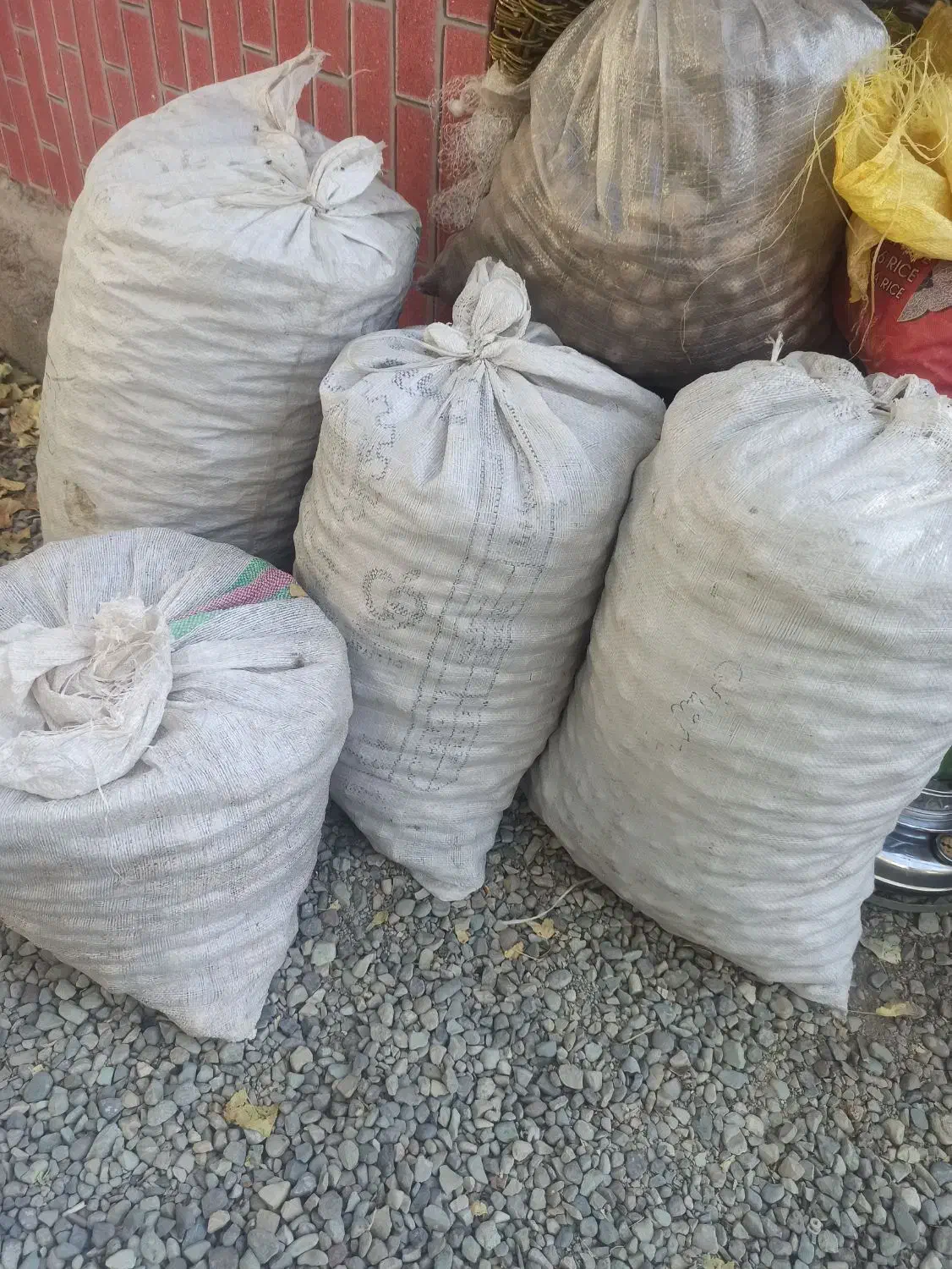 گردو پوست کاغذی روغنی تویسرکان(تازه)|خوردنی و آشامیدنی|کرج, شهرک نهال و بذر|دیوار