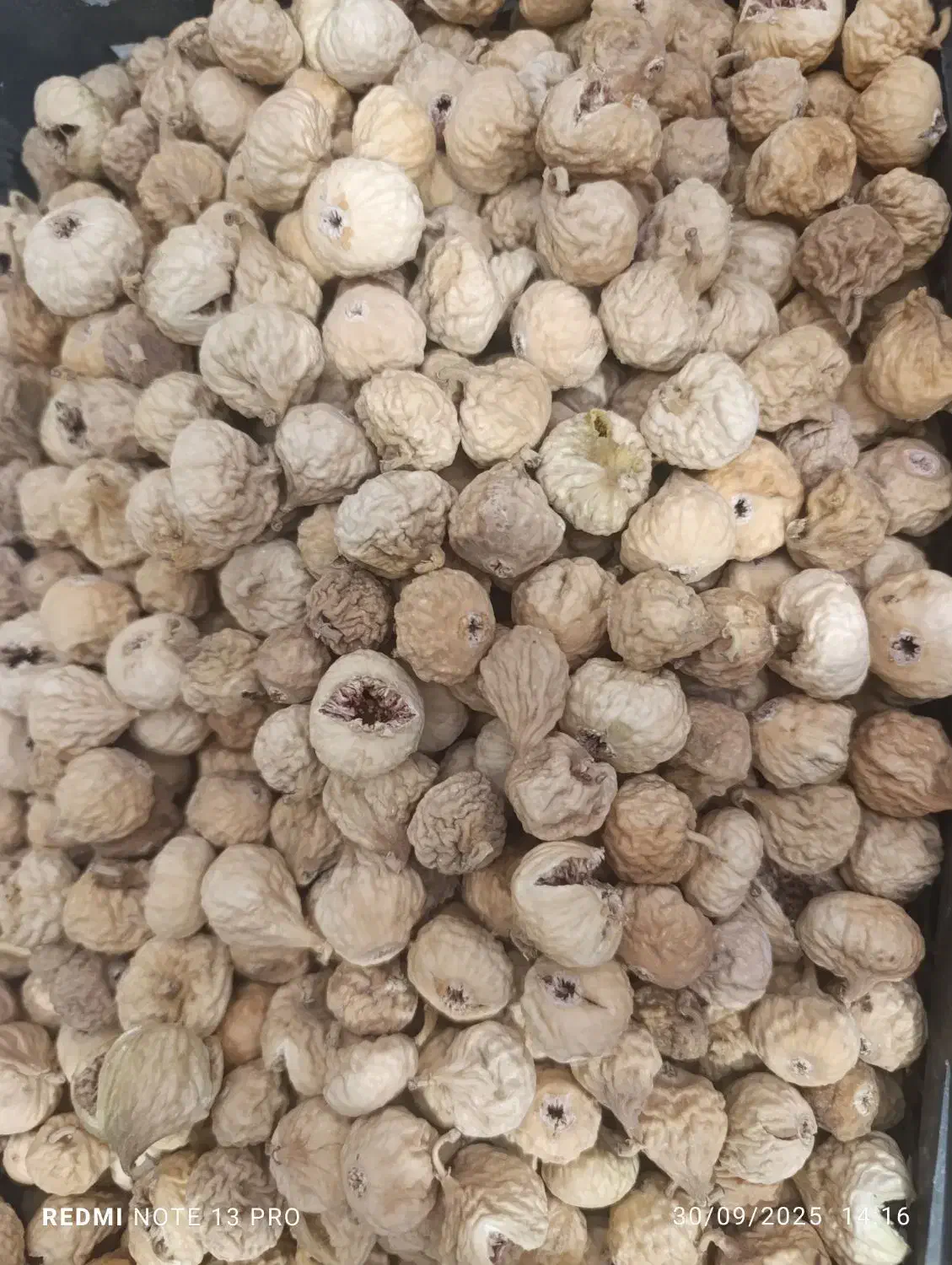 فروش انجیر|خوردنی و آشامیدنی|شیراز, حافظیه|دیوار