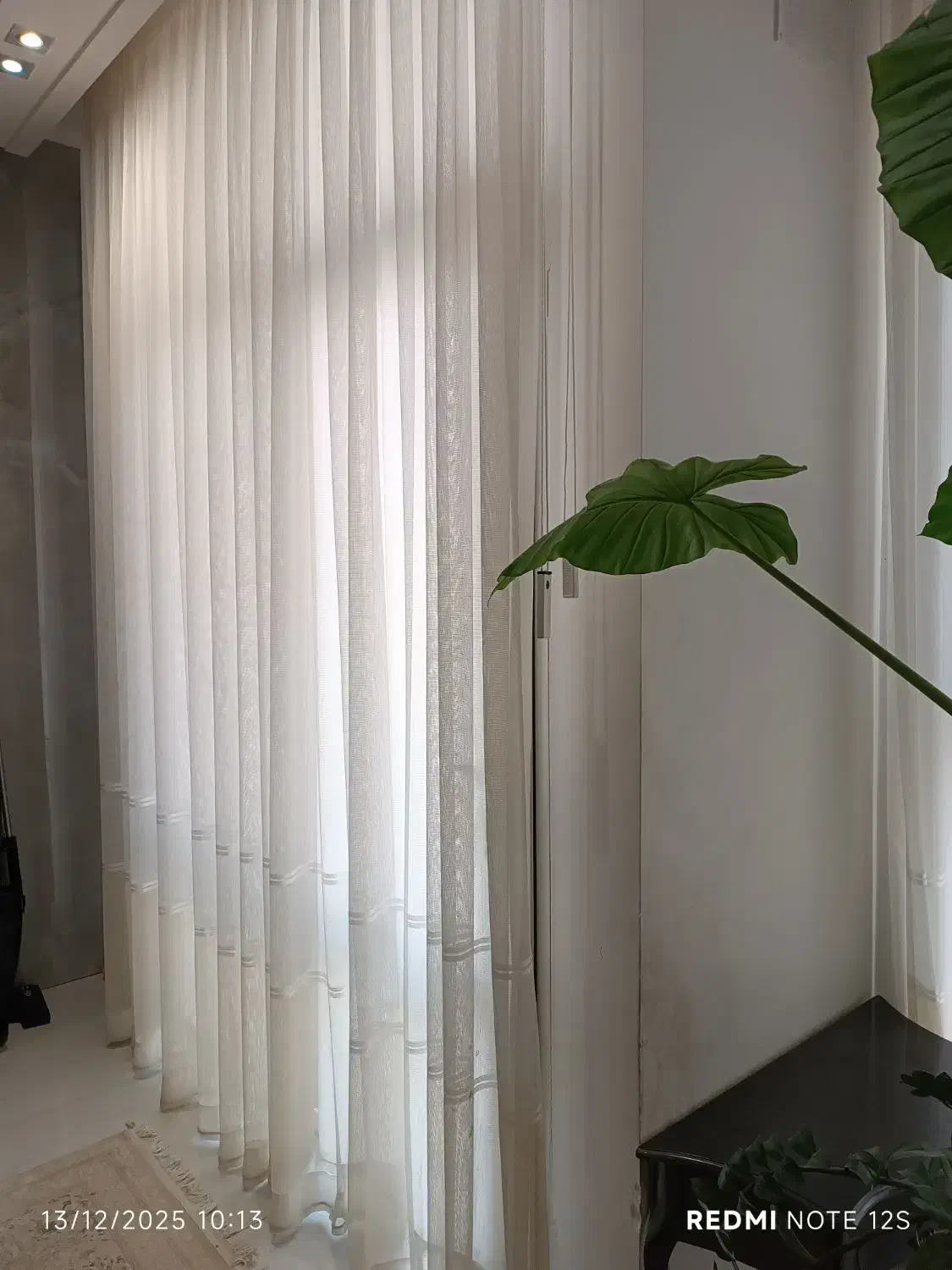 پرده|پرده، رانر، رومیزی|مشهد, شهرک لشکر (شهرک غرب)|دیوار