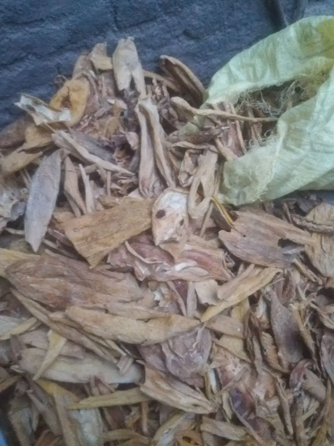 پوست خربزه خشک و خار|خوردنی و آشامیدنی|تربت جام, یحیی آباد|دیوار