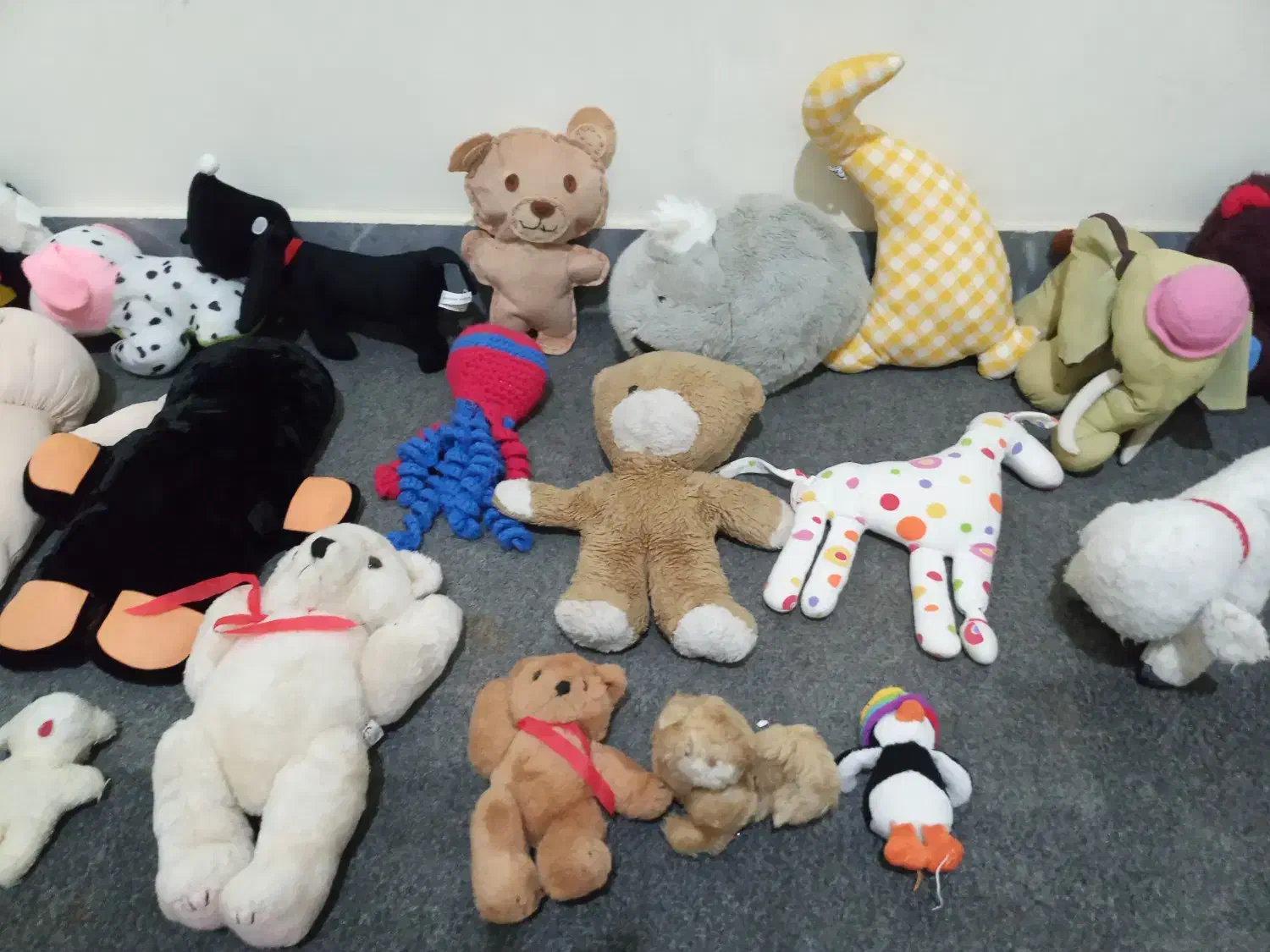 عروسک|اسباب‌بازی بچه|سنندج, |دیوار