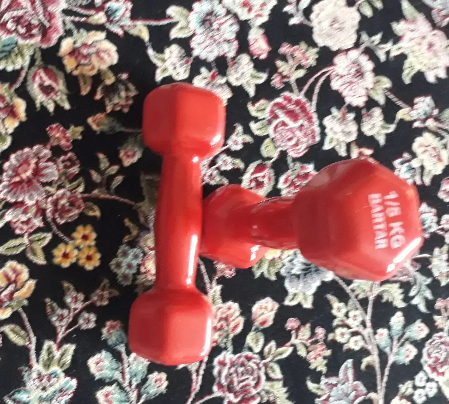 دمبل یک ونیم کیلوگرم|تجهیزات ورزشی|قروه, |دیوار