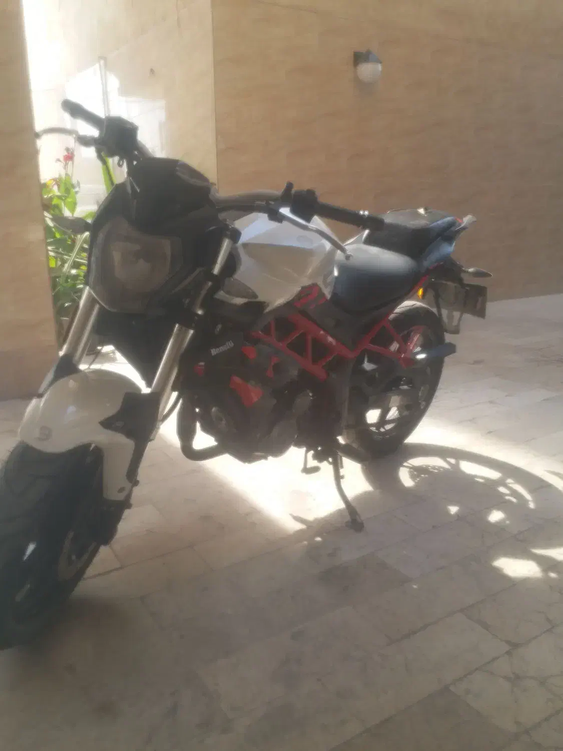 فروش موتور سیکلت بنلی NEW FACE|موتورسیکلت|بندرعباس, |دیوار