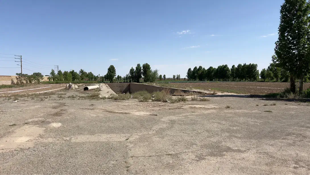 ۱۲ هکتار دامداری تمام صنعتی شیری|فروش دفتر صنعتی، کشاورزی، تجاری|قرچک, داوود آباد|دیوار