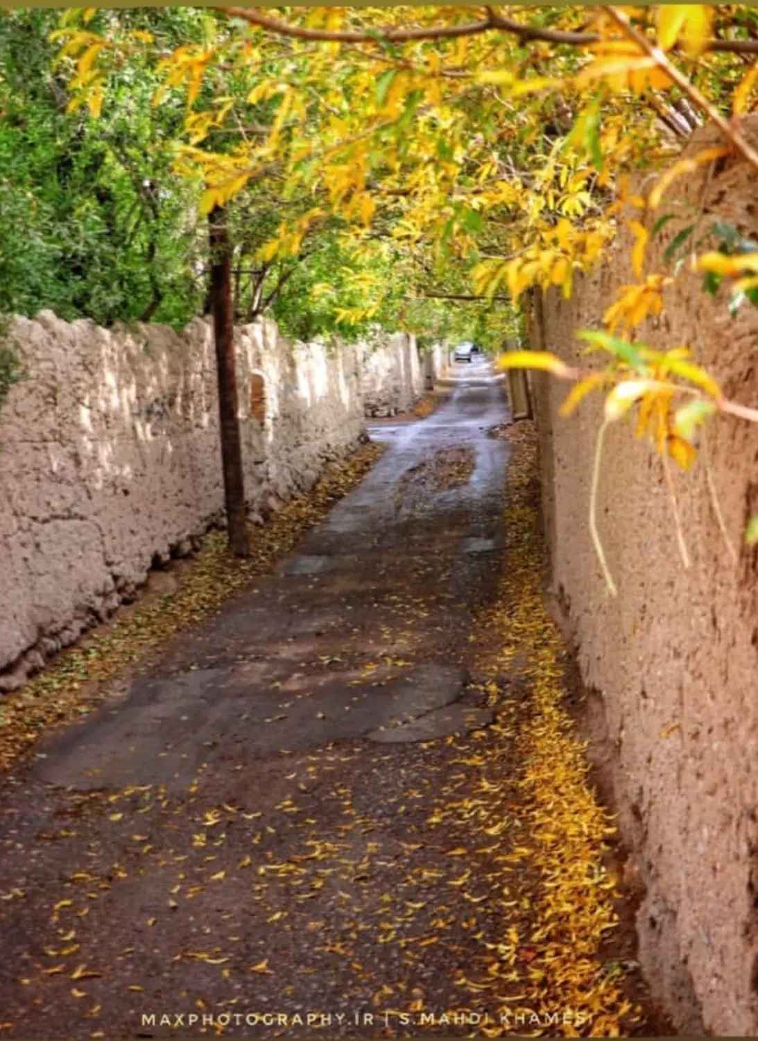 تور یزد گردی ، گردشگری و،،|تور و چارتر|تهران, شوش (باغ آذری)|دیوار