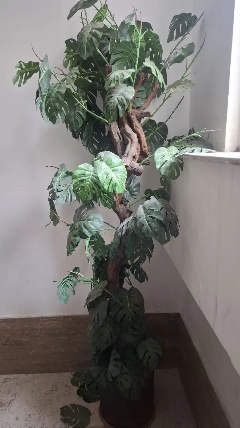 گل مصنویی اپارتمانی|گل مصنوعی|بابل, |دیوار