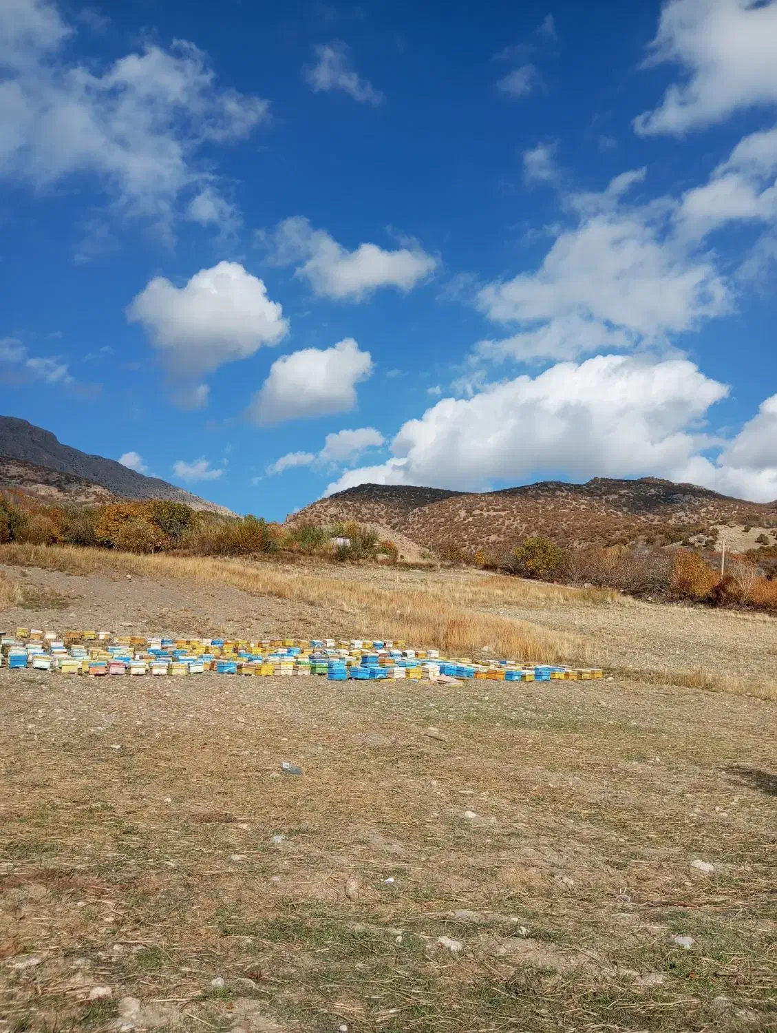 زمین آبی کاکارضا|فروش زمین و ملک کلنگی|الشتر, |دیوار