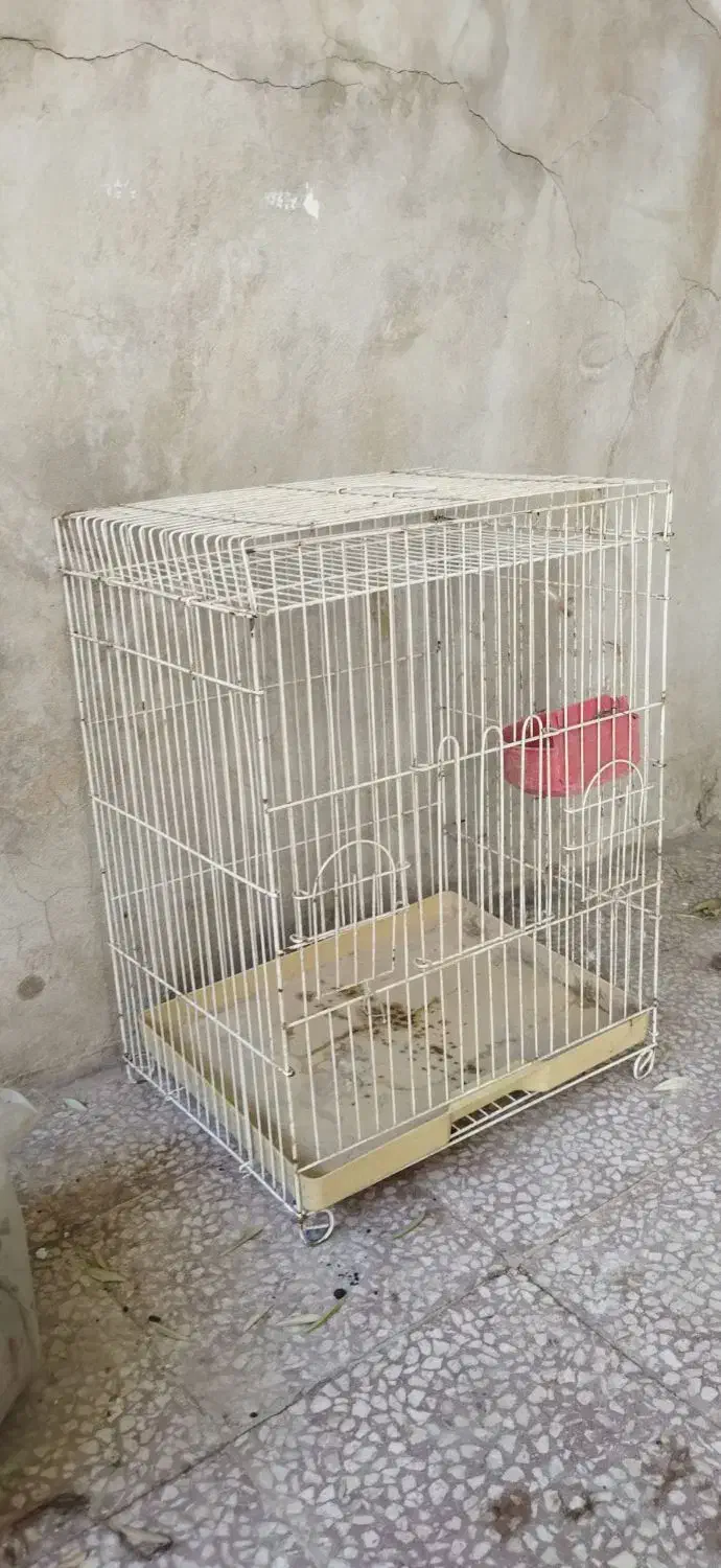 قفس سفید مخصوص عروس هلندی طوطی مرغ عشق سالم|لوازم جانبی حیوانات|قم, سرحوض|دیوار