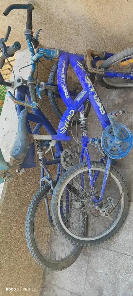 دوچرخه|دوچرخه، اسکیت، اسکوتر|شیراز, آبیاری|دیوار