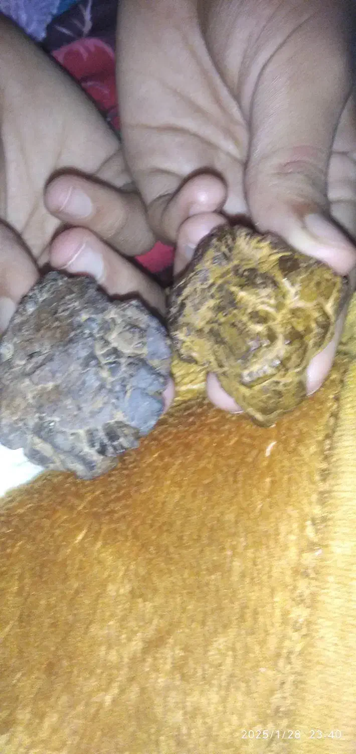 سنگ قیمتی  پیداشده درکوه|کلکسیون اشیاء عتیقه|بهبهان, |دیوار