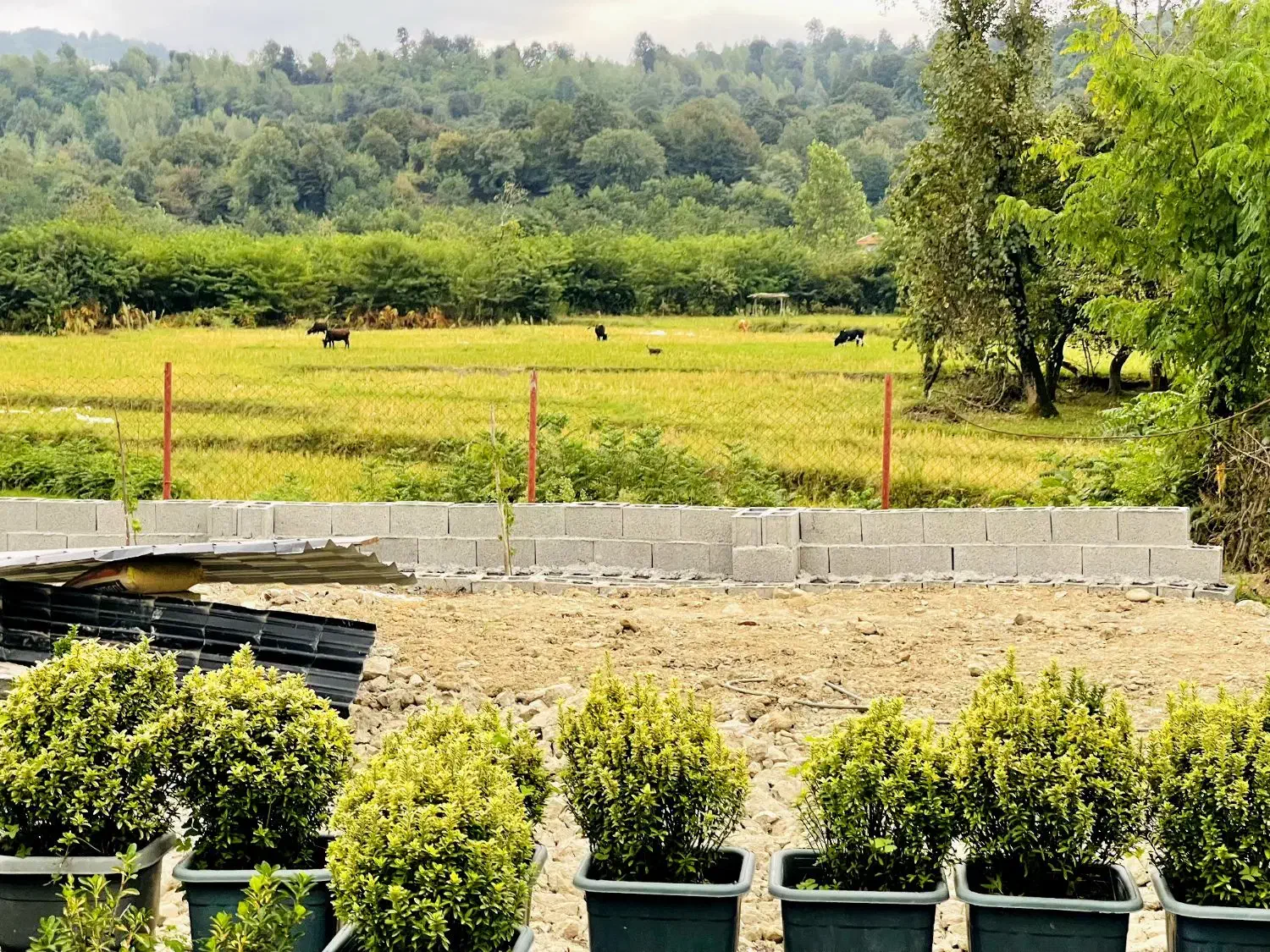 خانه ویلایی مدرن با ۲۵۰ متر زمین منظره جنگلی کوه|فروش خانه و ویلا|فومن, |دیوار