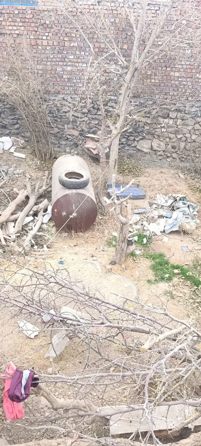 فروش کنده درخت|عمدهفروشی|گزیک, |دیوار