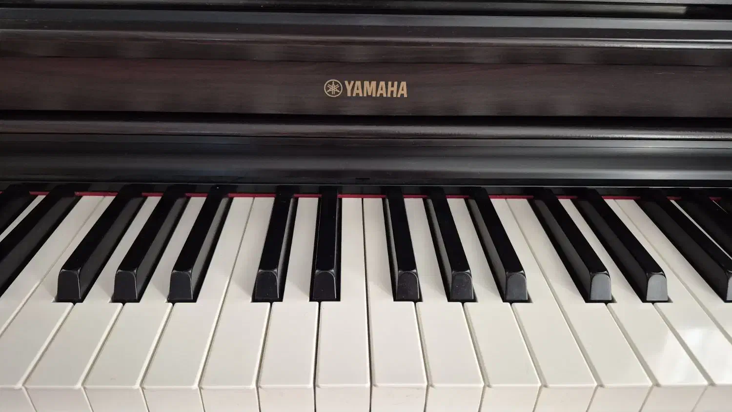 فروش پیانو دیجیتال و آکوستیک نو|خدمات آموزشی|اسلام‌شهر, شهرک قائمیه|دیوار