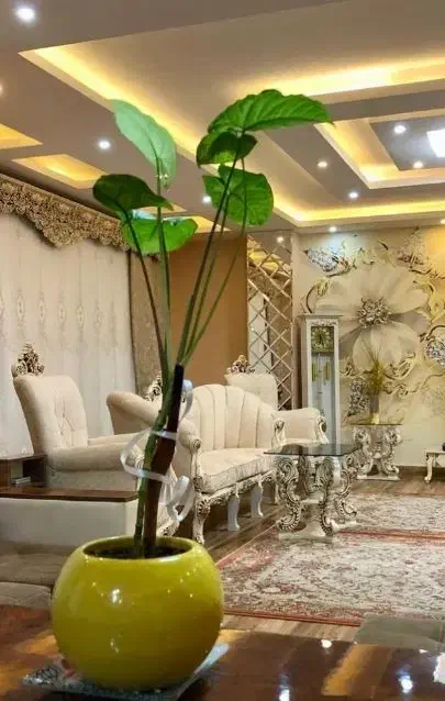 فروش مبل سلطنتی در حد نو|مبلمان خانگی و میز عسلی|رشت, معلم|دیوار