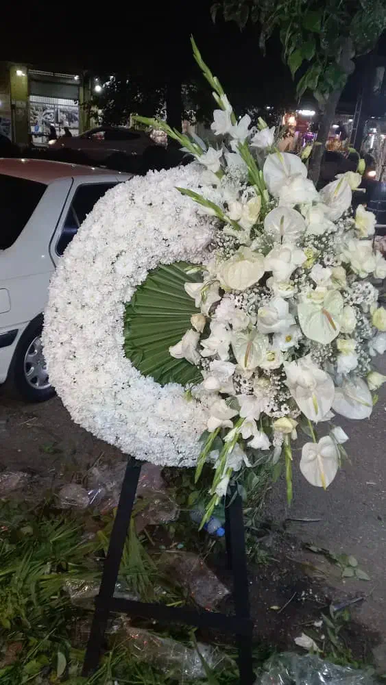 گلکده لنالند|گل و گیاه طبیعی|قائمشهر, |دیوار