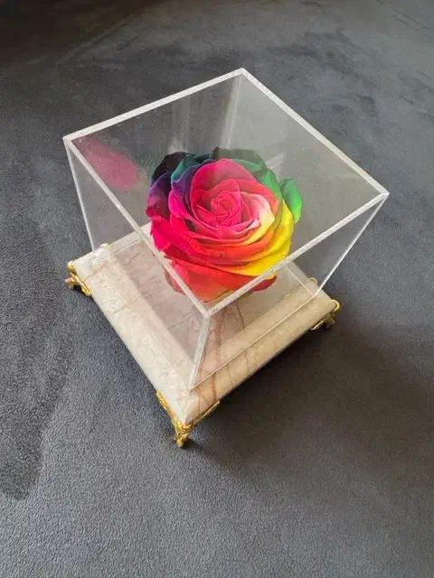 کادو رز طبیعی جاودان با ماندگاری بیش از  ۵سال|صنایع دستی و سایر لوازم تزئینی|شیراز, معالیآباد|دیوار