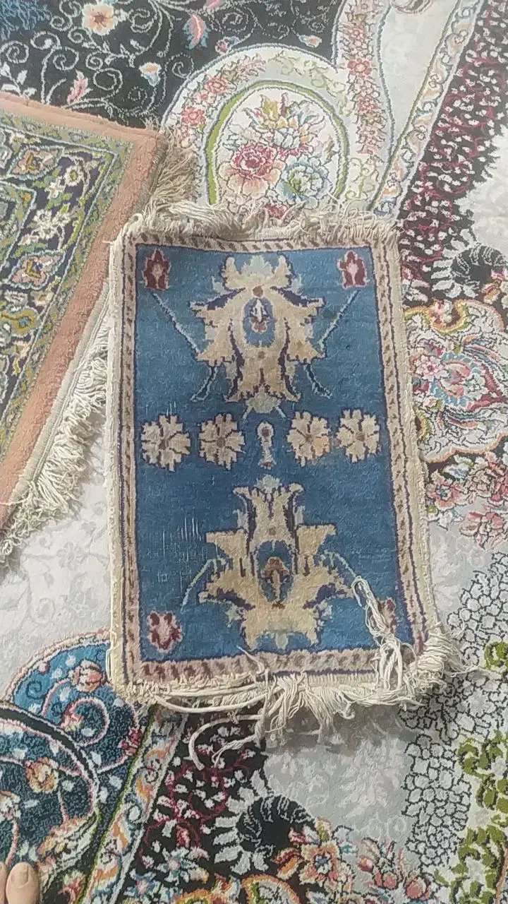 کناره قالی|فرش|نیشابور, رحمت آباد|دیوار