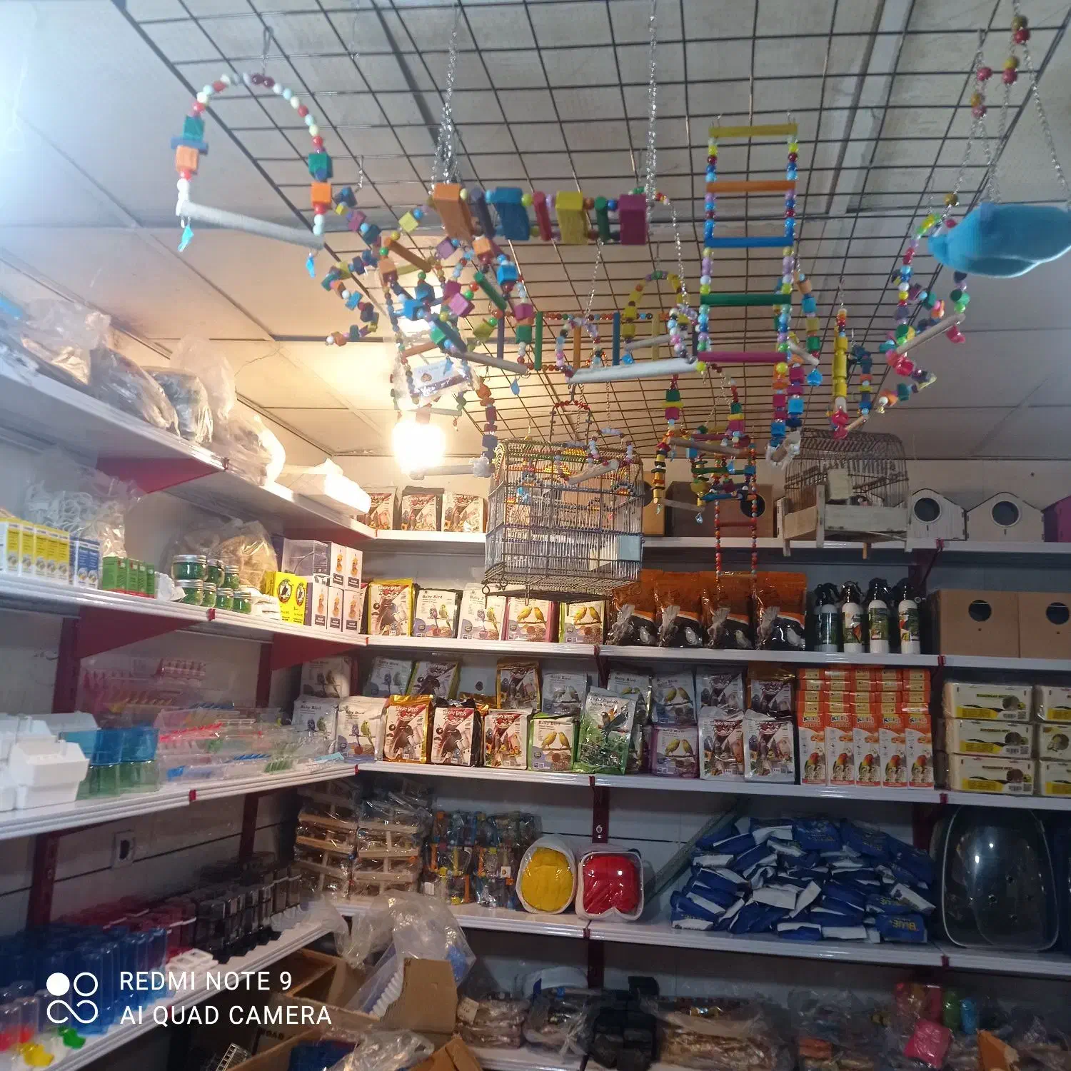 ملزومات عروس هلند|عمده‌فروشی|ایلام, |دیوار