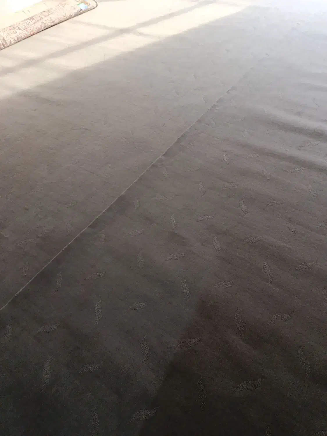 موکت|موکت|زنجان, |دیوار