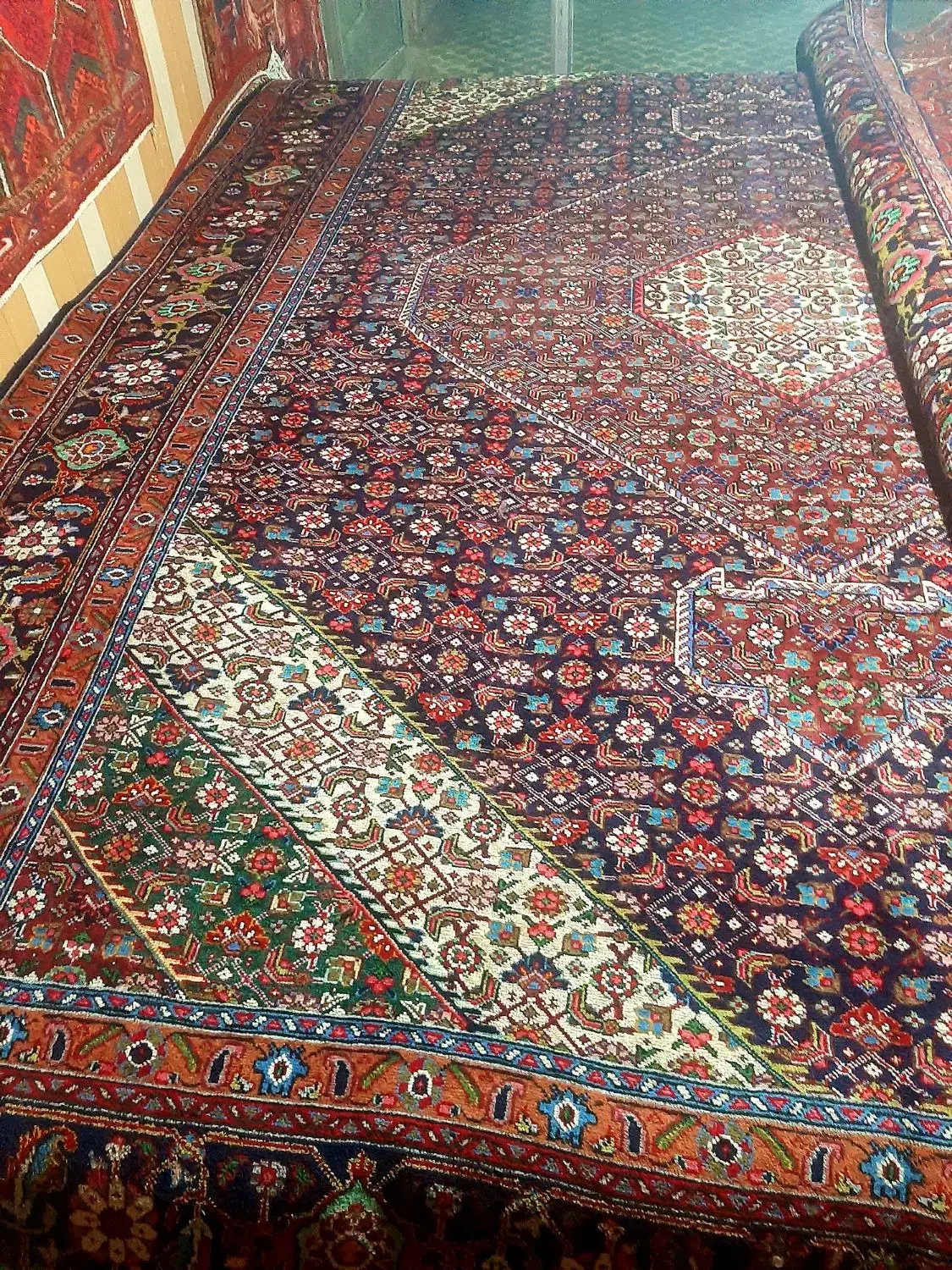 فرش۱۲متری ماهی|فرش|مراغه, |دیوار