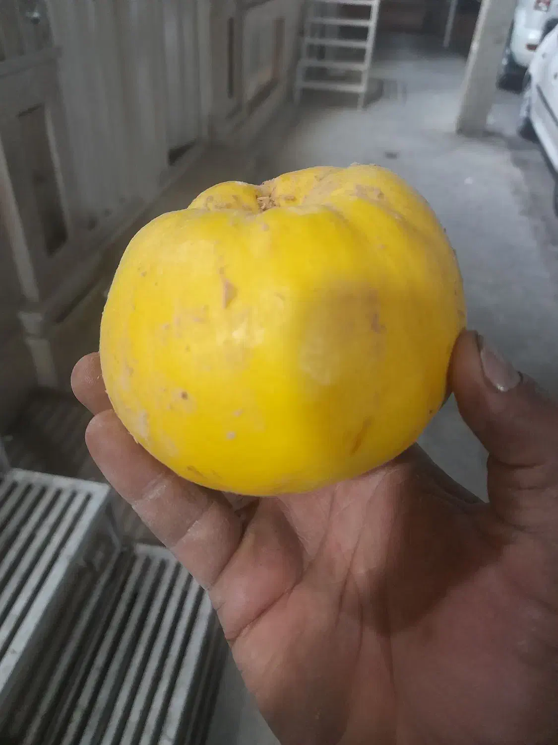 به تازه|خوردنی و آشامیدنی|حمیدیا, |دیوار