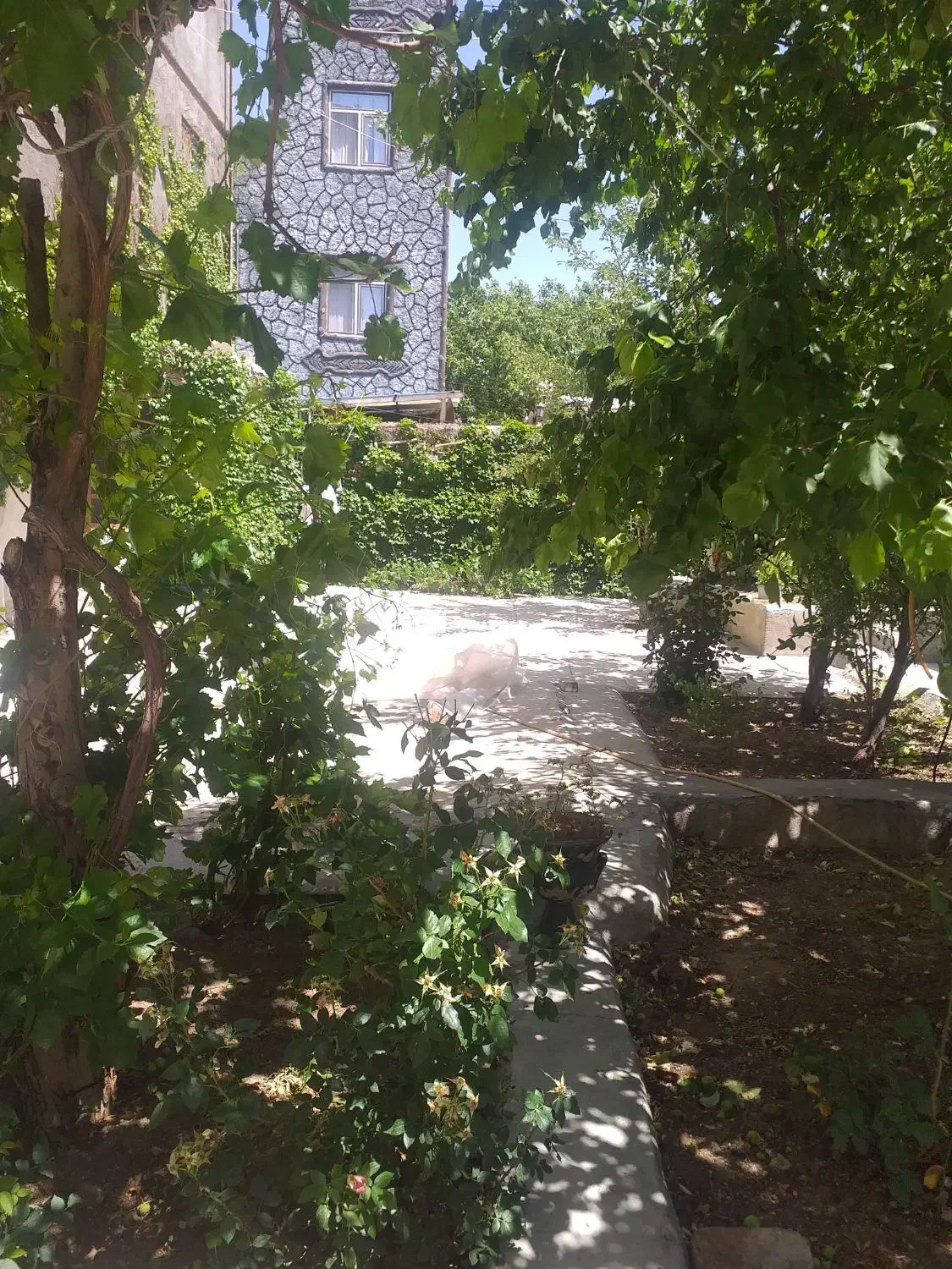 فروش خانه باغ دربهترین منطقه ازشهرستان هشترود|فروش خانه و ویلا|هشترود, |دیوار