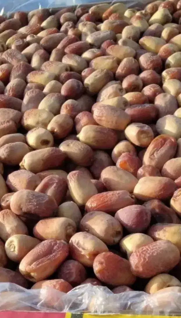 خرما زاهدی فقط 100|خوردنی و آشامیدنی|کوهدشت, |دیوار