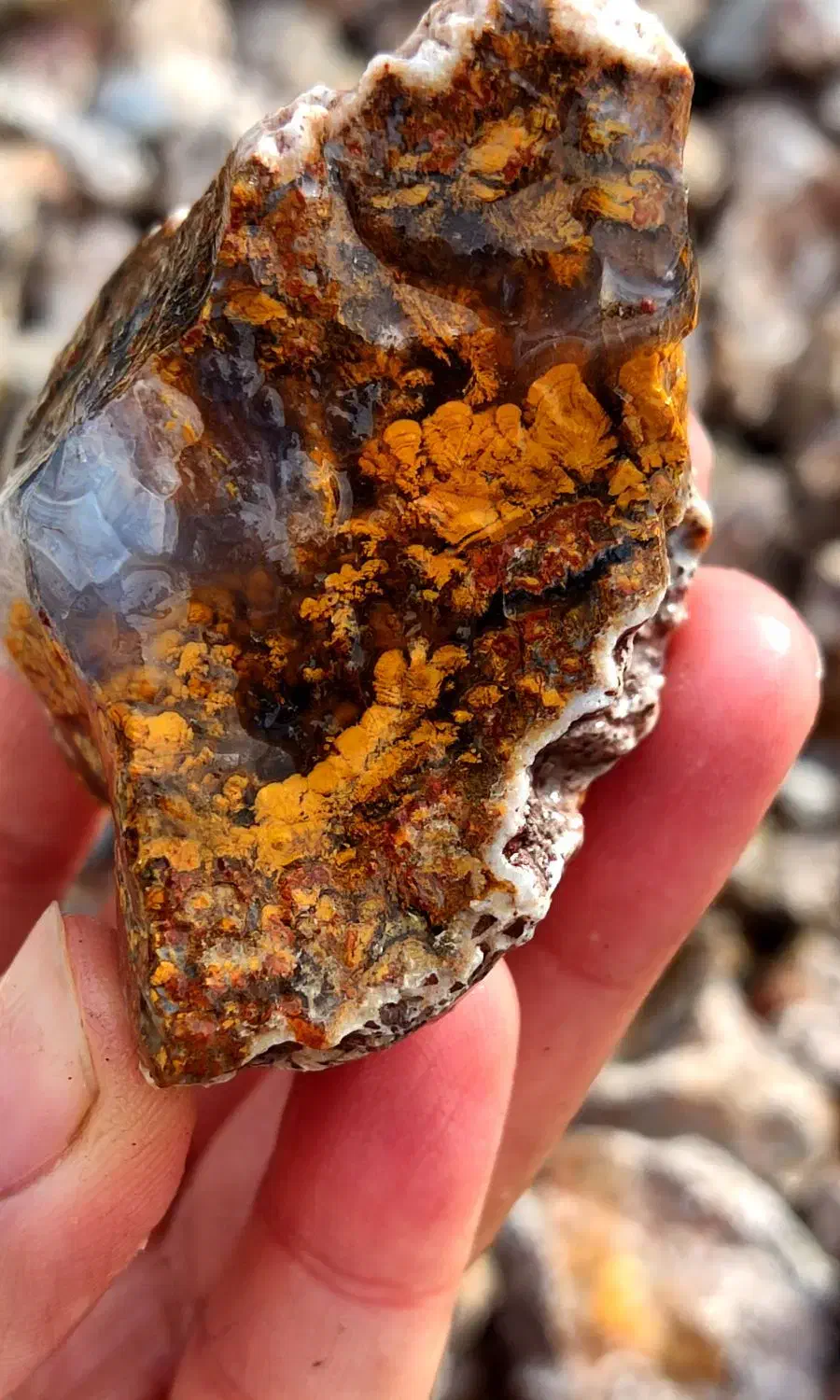 عقیق شجر سه قلعه خراسان|جواهرات|رفسنجان, |دیوار