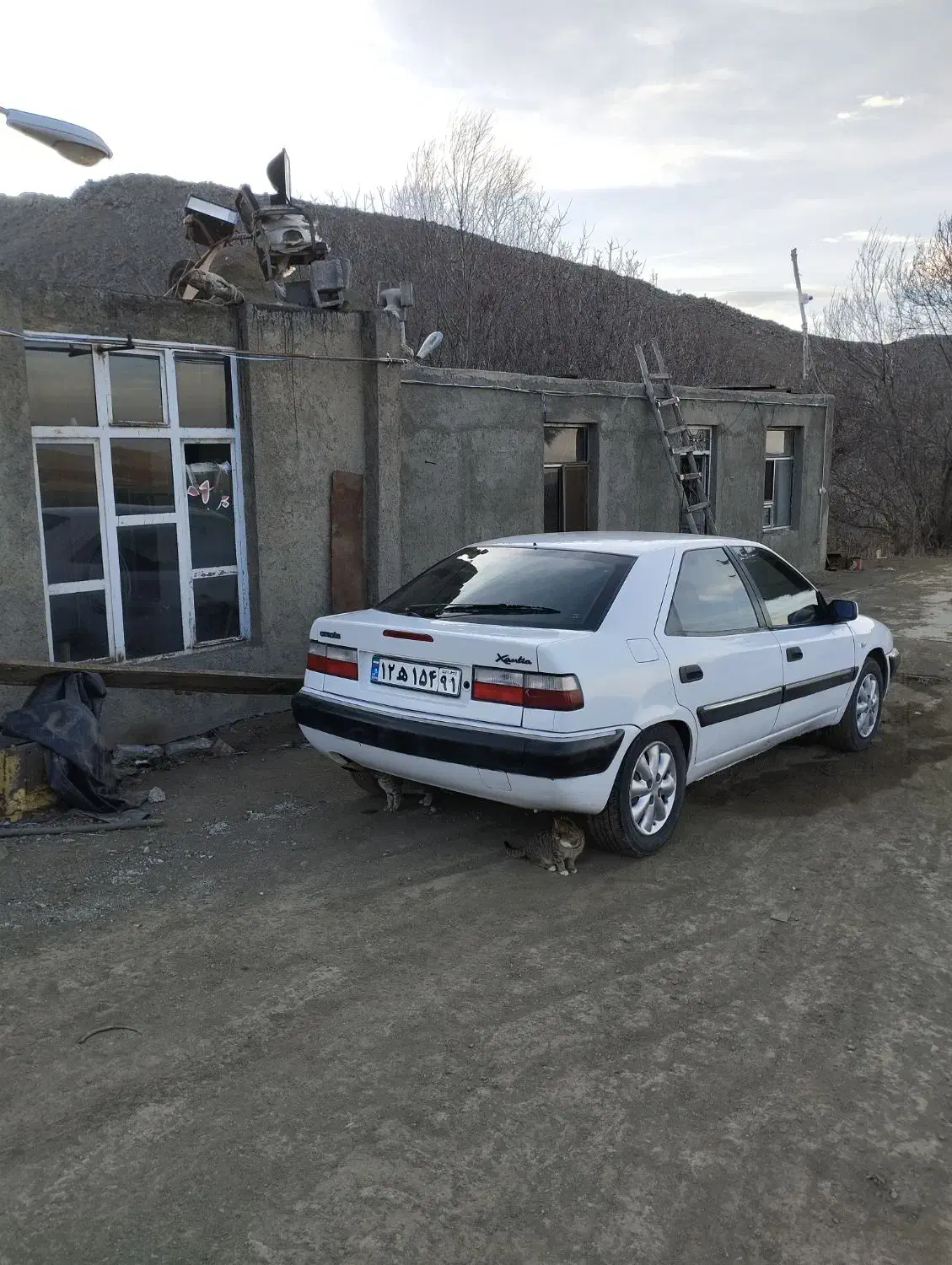 زانتیا ۸۹|خودرو سواری و وانت|اردبیل, |دیوار