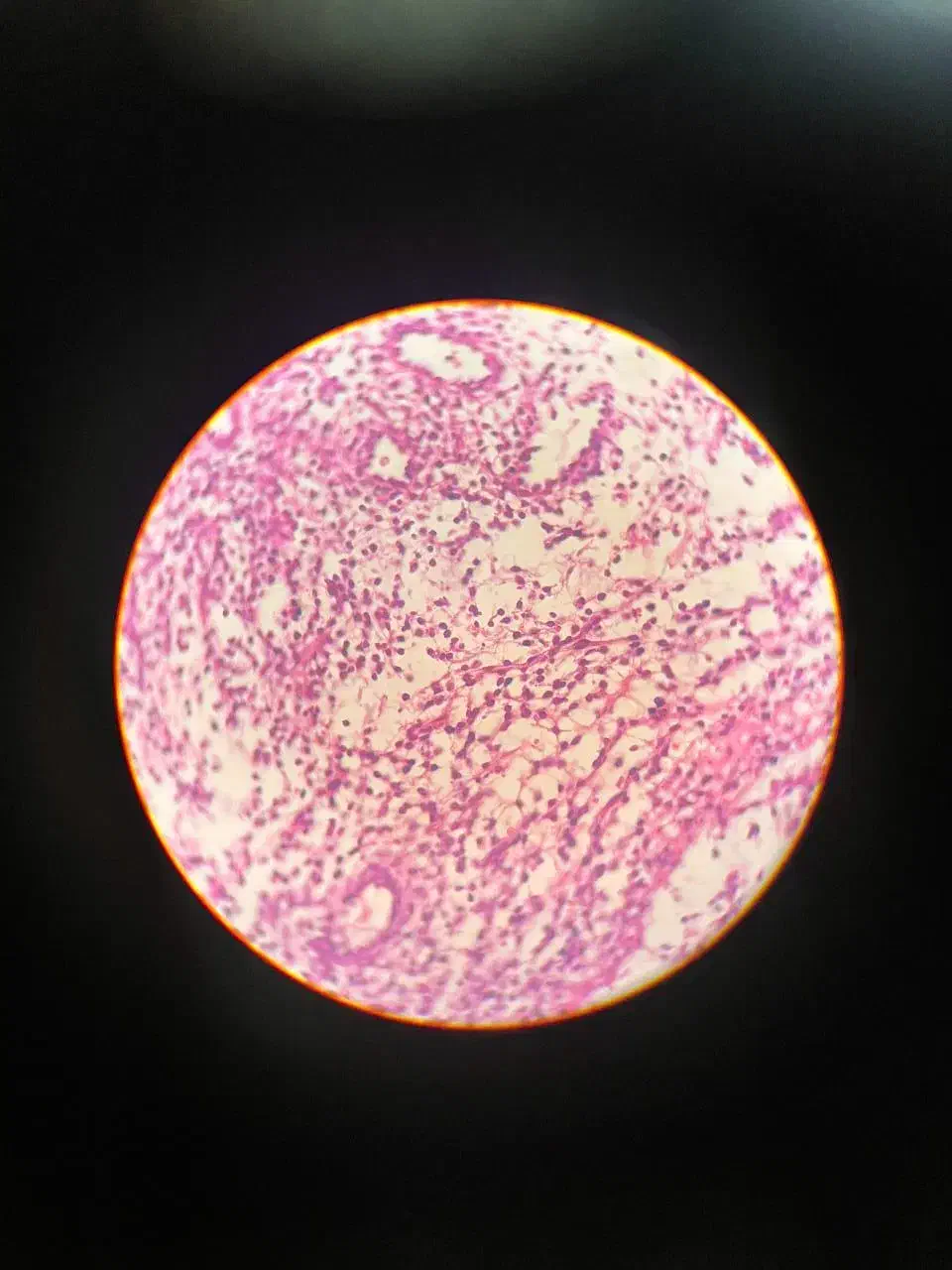 تعمیرات تخصصی و فروش میکروسکوپ|خدمات پیشه و مهارت|اصفهان, درب کوشک|دیوار