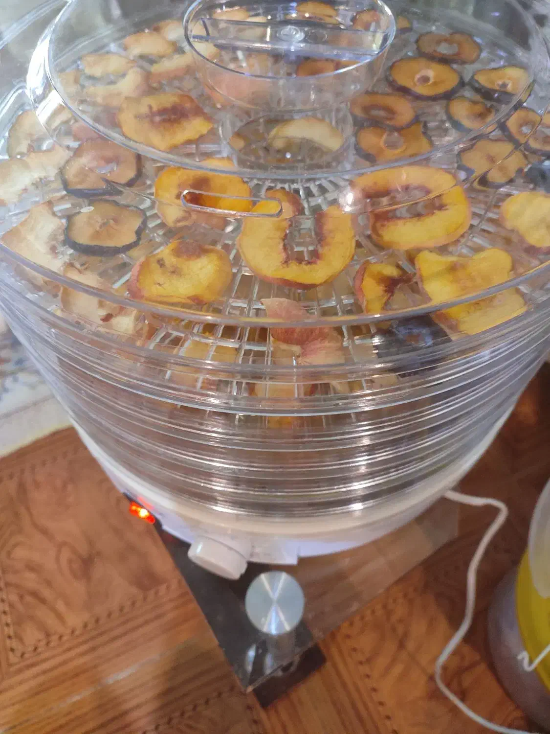 میوه خشک کن کلورانس با کارتن|سایر لوازم برقی|صدرا-فارس, فاز ۱|دیوار