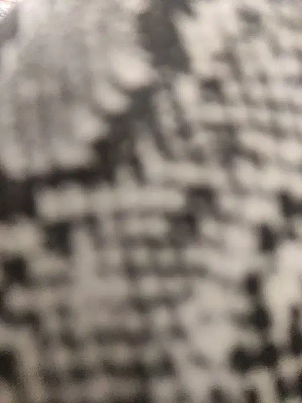 پرنده ای پیدا شده|پرنده|پردیس, شهرک صنعتی خرمدشت فاز ۷|دیوار