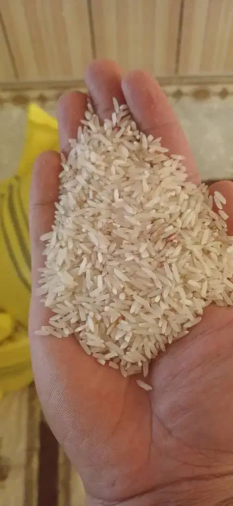 برنج طارم|خوردنی و آشامیدنی|یاسوج, |دیوار