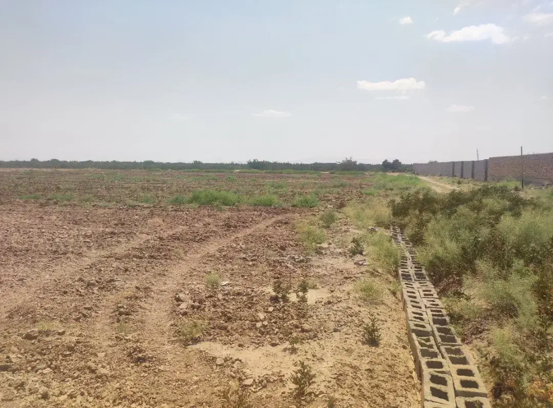 زمین 1800 متری چسبیده به طرح هادی|فروش زمین و ملک کلنگی|سیرجان, |دیوار