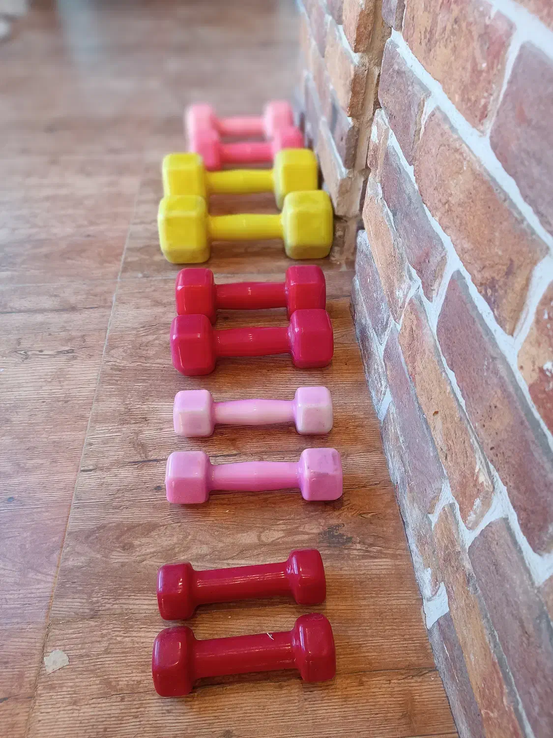 دمبل ورزشی|تجهیزات ورزشی|طرقبه, |دیوار