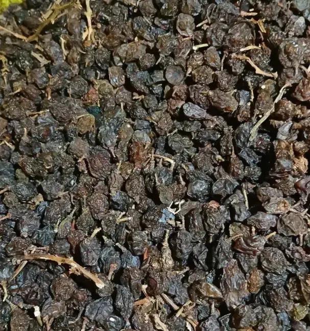 مویز|خوردنی و آشامیدنی|سبزوار, جهاد کشاورزی|دیوار