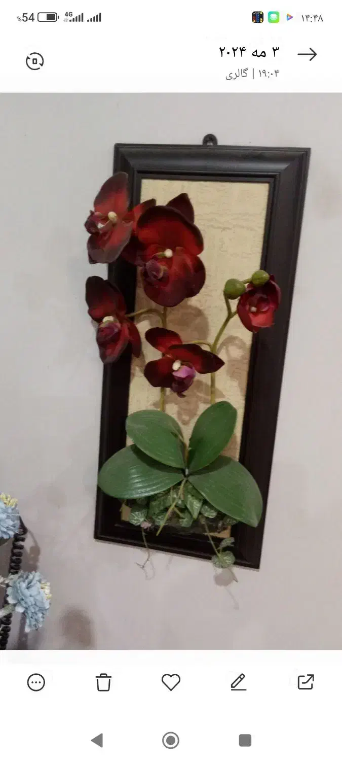 همه چوبی|حراج|اهواز, گلستان|دیوار