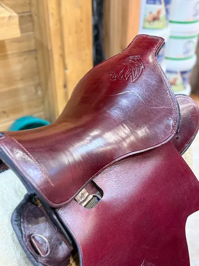 زین برنو برگ پهن|اسب و تجهیزات اسب‌سواری|اهواز, کمپلو شمالی|دیوار