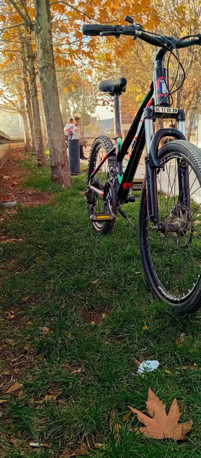 دوچرخه|دوچرخه، اسکیت، اسکوتر|بانه, |دیوار