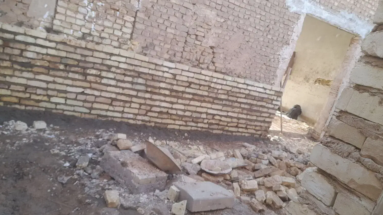 بنا هستم خورده کار وکاشی حتی یه متر|خدمات پیشه و مهارت|یزد, |دیوار