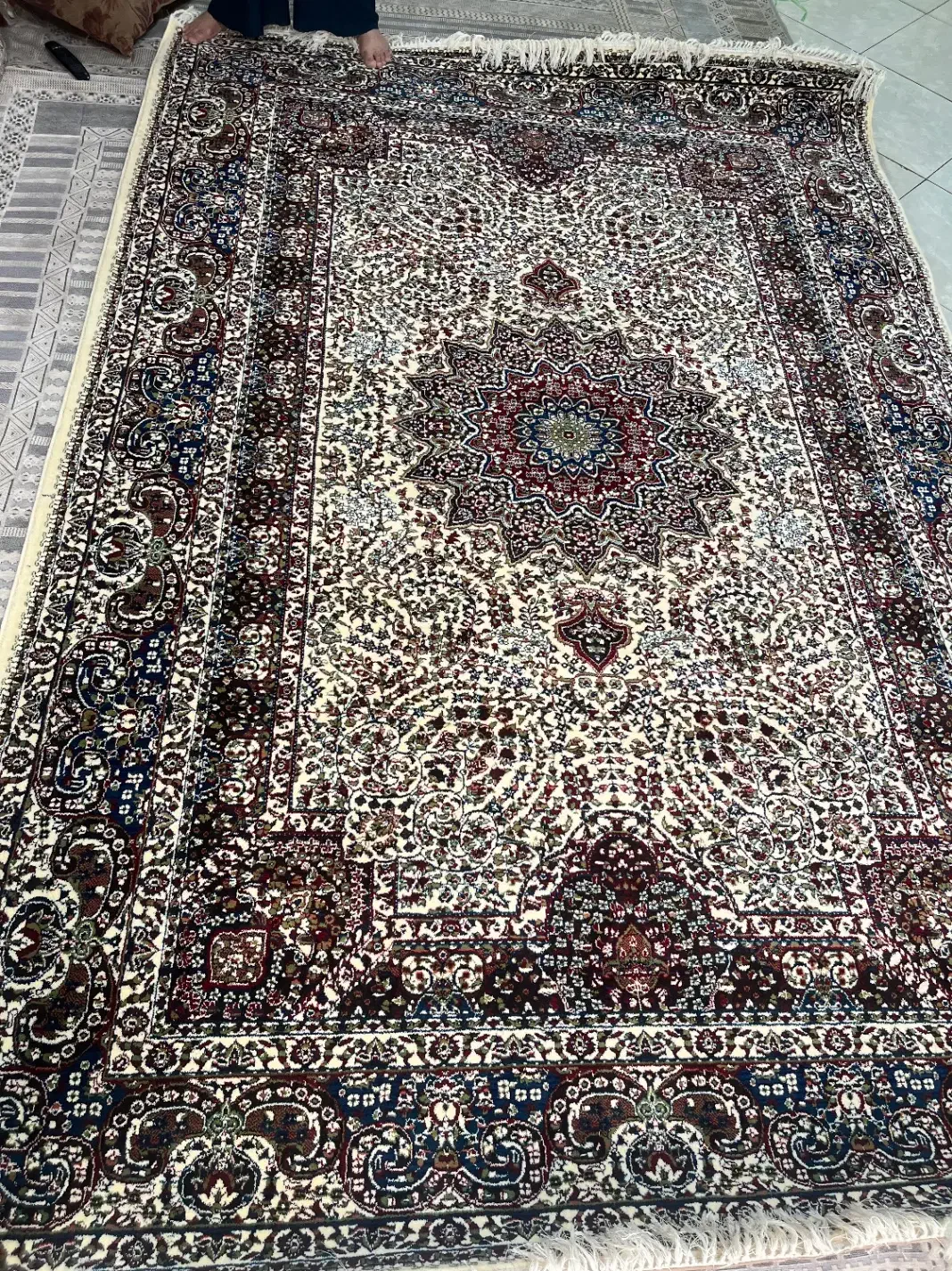 فرش ۶ متری ۵۰۰شانه مشهد|فرش|تهران, مختاری|دیوار