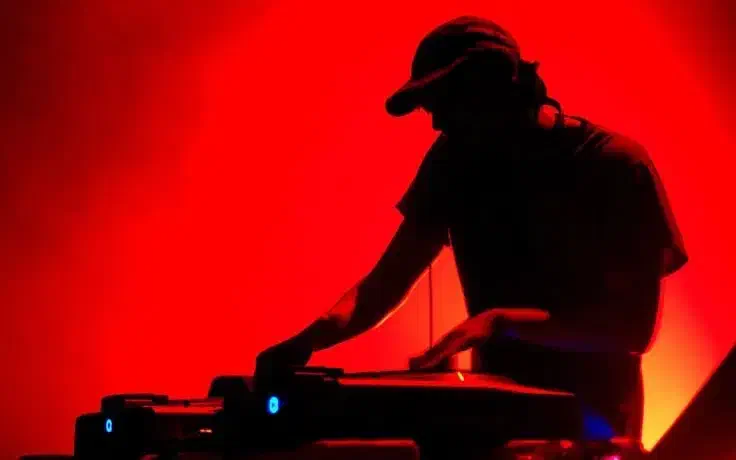 دیجی|خدمات پذیرایی، مراسم|رشت, کاکتوس|دیوار