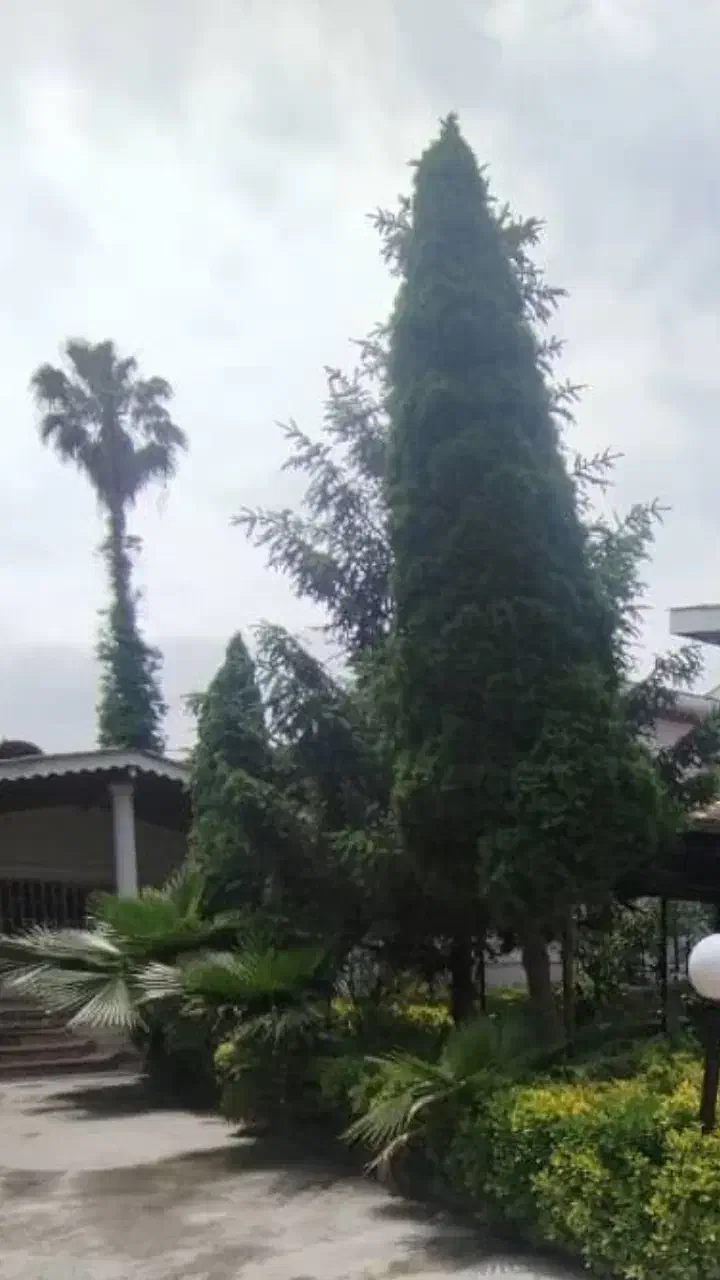 زمین۷۰۰متری برج سازی متلقو(سلمانشهر)|فروش زمین و ملک کلنگی|سلمانشهر, |دیوار